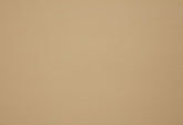 Courvin Auto Riviera Peach 0188